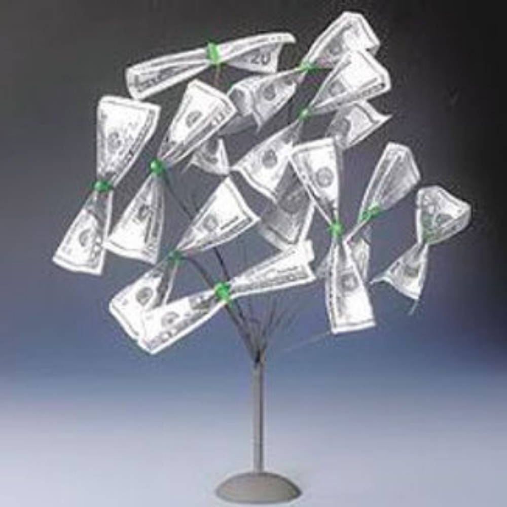 Money Tree - Picture 3 of 7